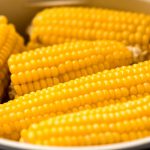 Kukurydza paszowa – rodzaje, właściwości oraz zastosowanie